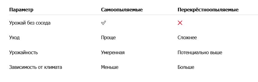 🌿 Миндаль самоопыляемый: описание сорта и полезные советы